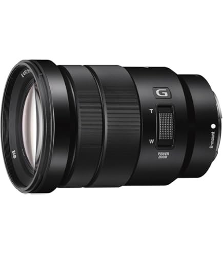 Amazon.co.jp: シグマ 170-500mm F5-6.3 APO DG ソニー用 : 家電＆カメラ