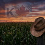 An American cornfield at sunset symbolizing the agricultural stakes of the U.S.-Canada trade war.
