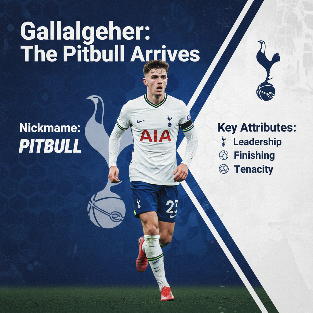 Infographic detailing Connor Gallagher’s move to Tottenham and his expected impact on the squad.